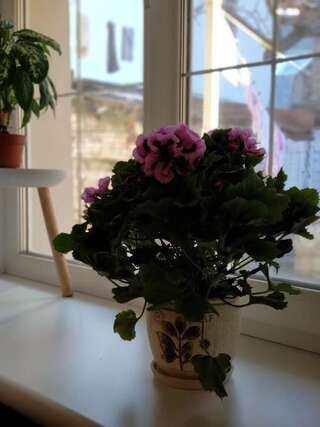 Апартаменты АpartmentAnna Одесса Апартаменты с 1 спальней-31